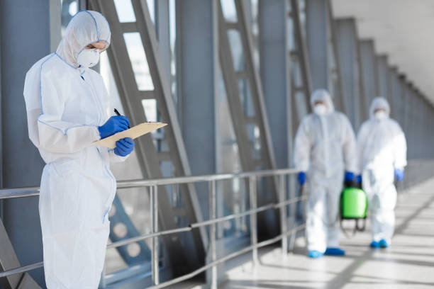 Best Airborne Mold Testing  in Rock Creek, AL