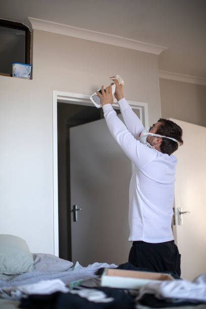 Best Residential Mold Inspection & Testing  in Rock Creek, AL