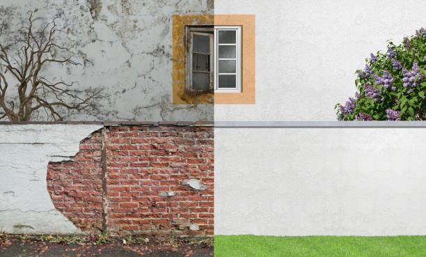 Best Residential Mold Inspection & Testing  in Rock Creek, AL