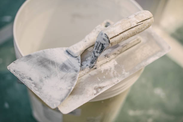 Best Water Damage & Mold Remediation  in Rock Creek, AL
