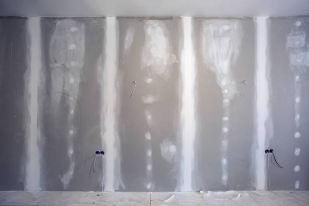 Mold Documentation for Insurance Claims in Rock Creek, AL